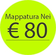 costo mappatura nei euro 80